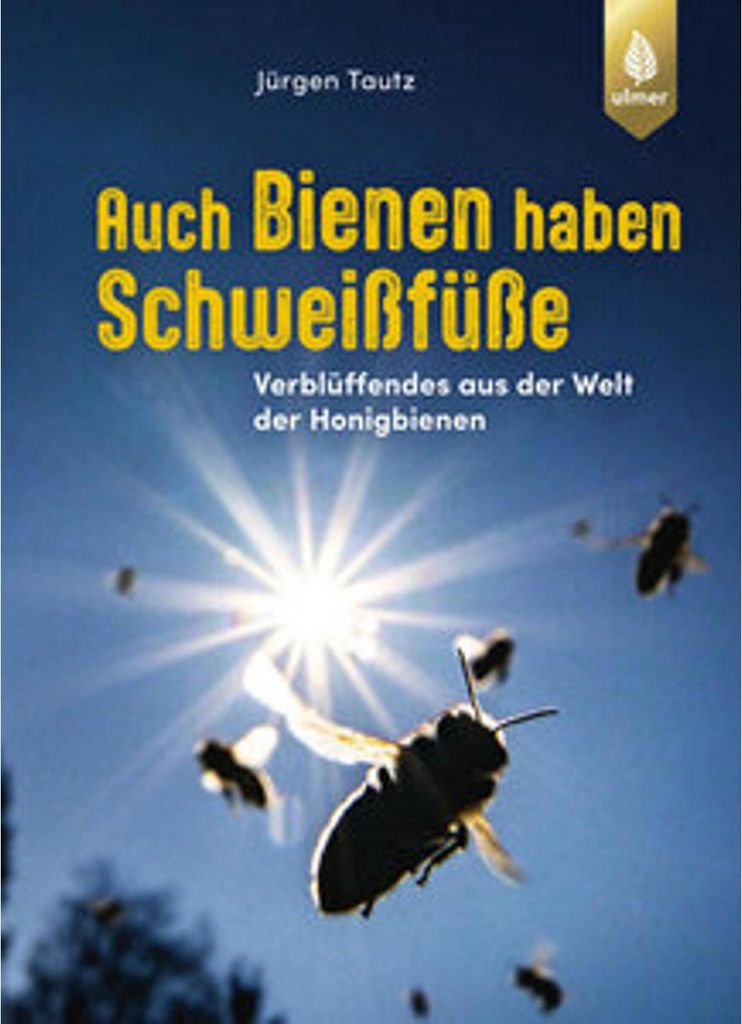 Auch Bienen haben Schweißfüße Produktbild 