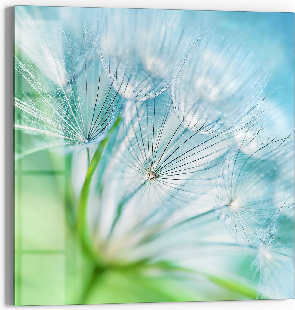DEQORI Magnettafel Glas 50x50 cm 'Flüstern des Winds' beschreibbar Whiteboard Küche