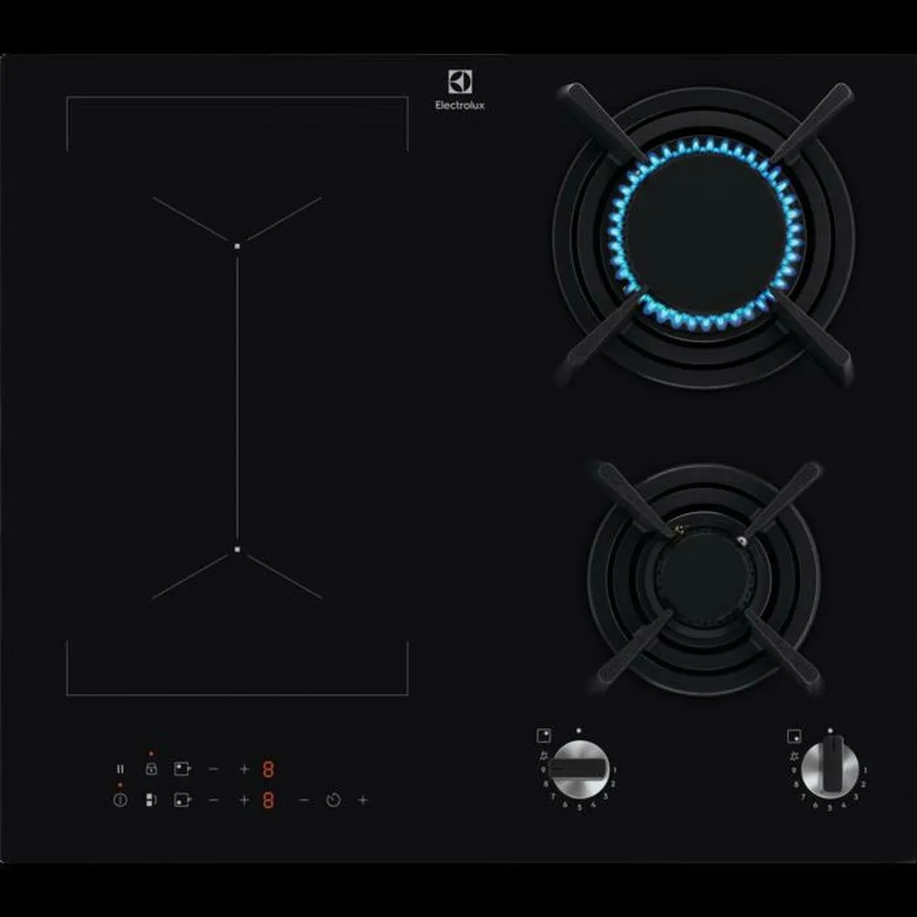 Plat de Cuisson Mixte pour Cuisson Précise Induction et Puissance Gaz