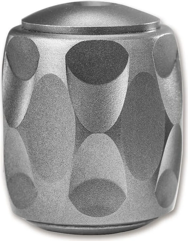 Coque de protection gris titane nacré pour smartphone haut de gamme