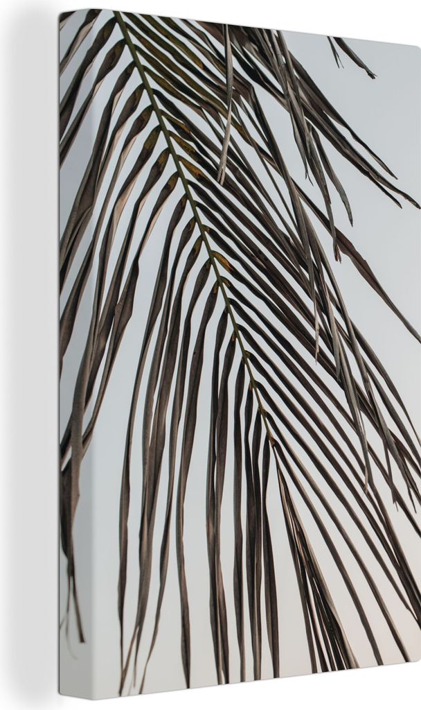 OneMillionCanvasses - Leinwandbilder - 90x140 cm, Blätter - Sommer - Palmenblatt - Tropisch, Wandbilder Kunstdruck Wanddekoration - Foto auf Lei...