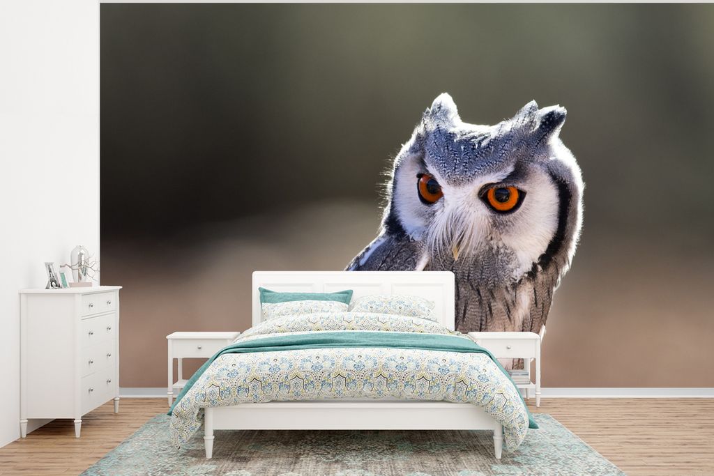 MuchoWow Fototapete für Wohnzimmer oder Schlafzimmer Wandtapete Vinyl Motivtapete Eule - Makro - Tier - 375x280 cm - Schlafzimmer tapete
