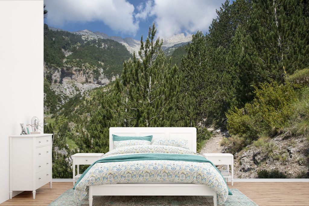 MuchoWow Fototapete für Wohnzimmer oder Schlafzimmer Wandtapete Vinyl Motivtapete Ein Fußweg auf Europas Olymp - 600x400 cm - Vinyltapeten