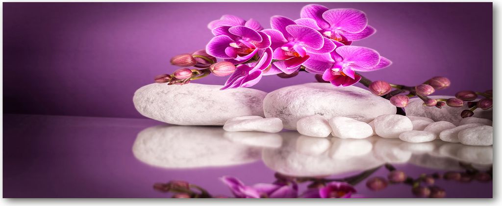 Tulup Küchenrückwand Spritzschutz aus Glas -125x50 -Spritzschutz auf gehärtetes Glas Deko Blumen & Pflanzen Rosa Orchidee