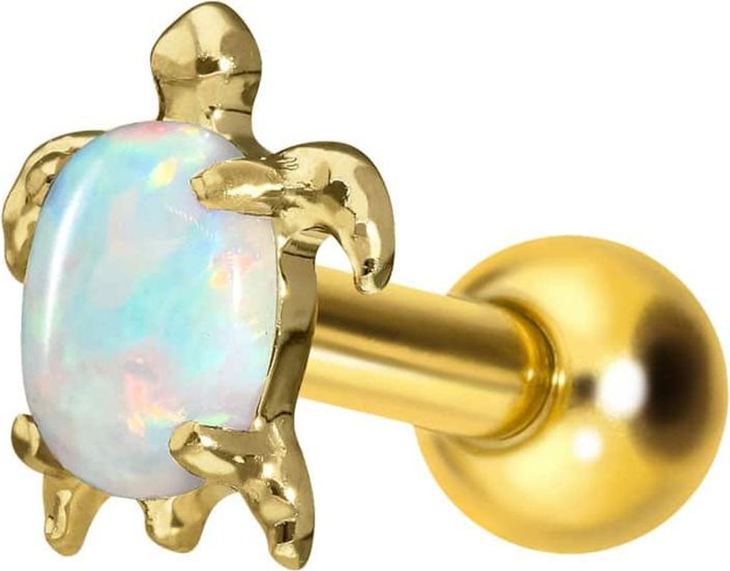 Ohrpiercing Titan Ohrpiercing mit Innengewinde SCHILDKRÖTE Gold Stablänge: 6mm
