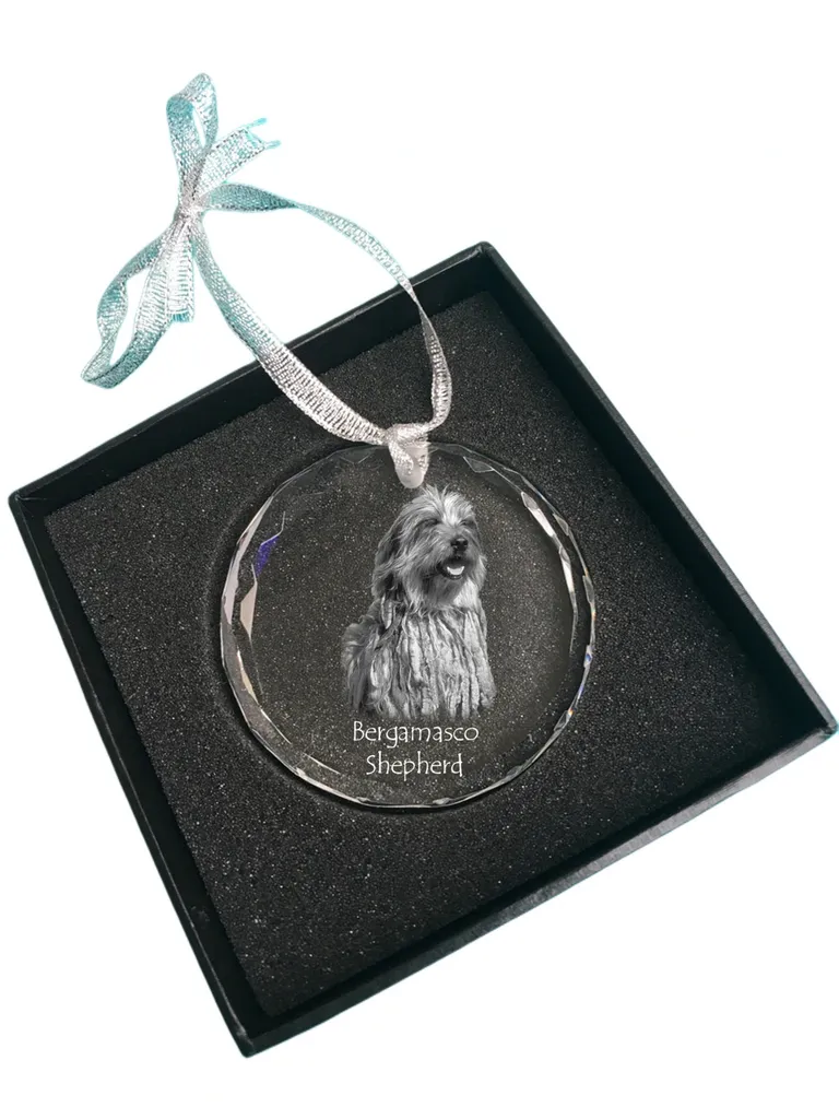 Cornice per foto personalizzate, con nome e testo personalizzati a forma di cuore con fiori secchi, cornice regalo per San Valentino e compleanno (blu