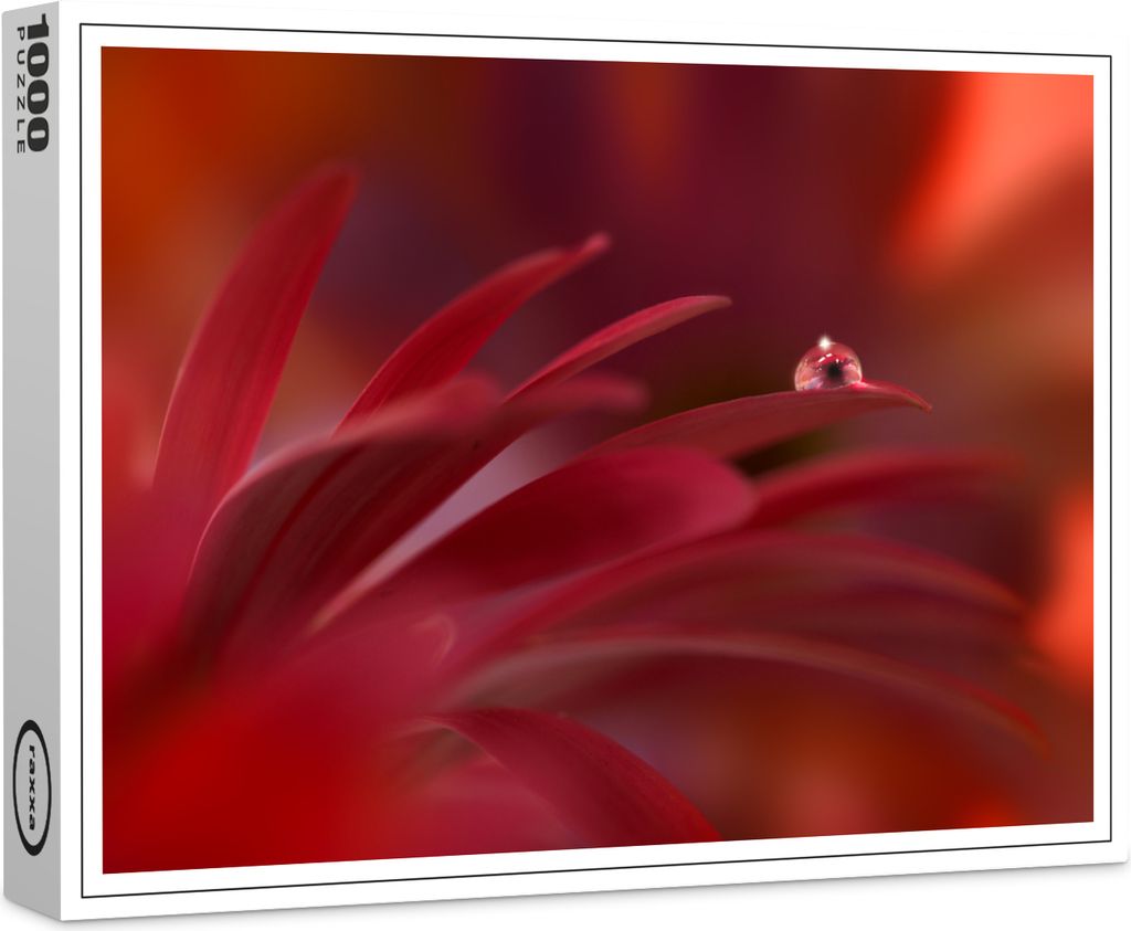 raxxa Premium-Puzzle "Roter Tropfen", 1000 Teile