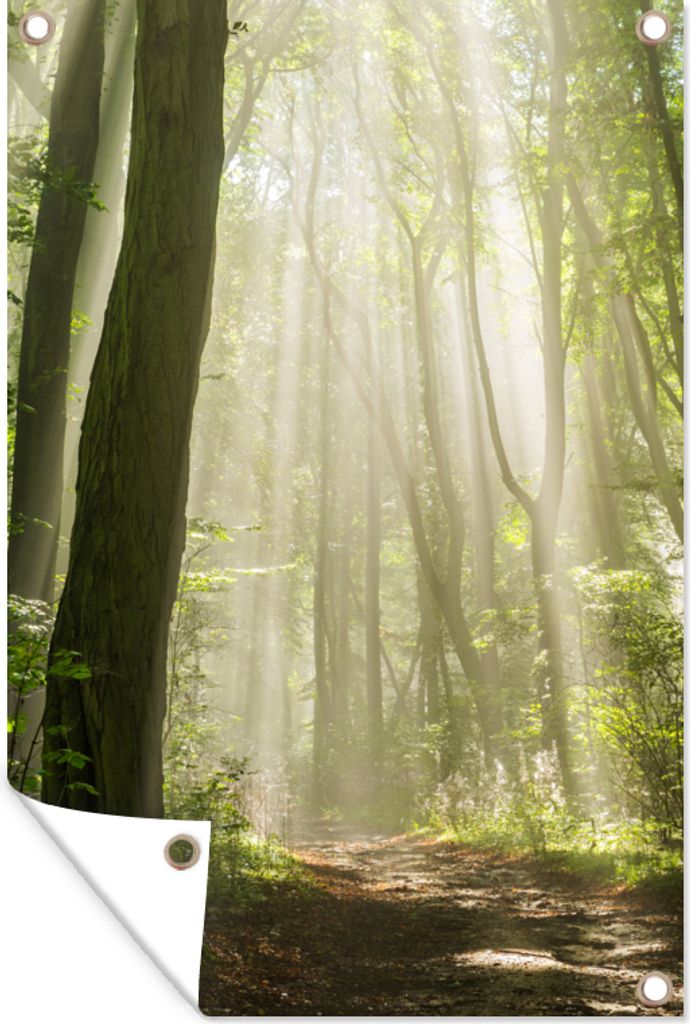MuchoWow 80x120 cm Outdoor-Poster Gartendeko Sichtschutz Garten Poster für den Garten Wald - Licht - Natur - Landschaft