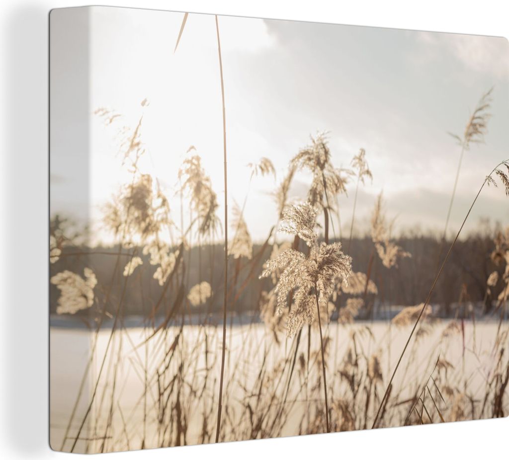 MuchoWow - Leinwandbilder - Wasser - Pampasgras - Pflanzen, Wandbild, Wanddeko Bilder Wohnzimmer, 40x30 cm