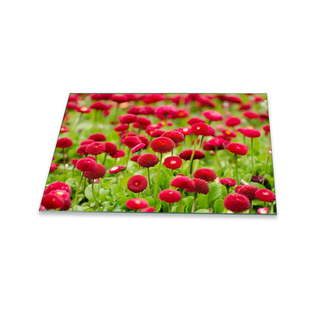 Copertura in Vetro per Piano Cottura 80x52 - Piastra Fiori Rosa 1 Pezzo