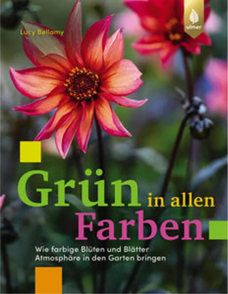 Peinture verte décorative nuance Grün in allen Farben haute couvrance 1L