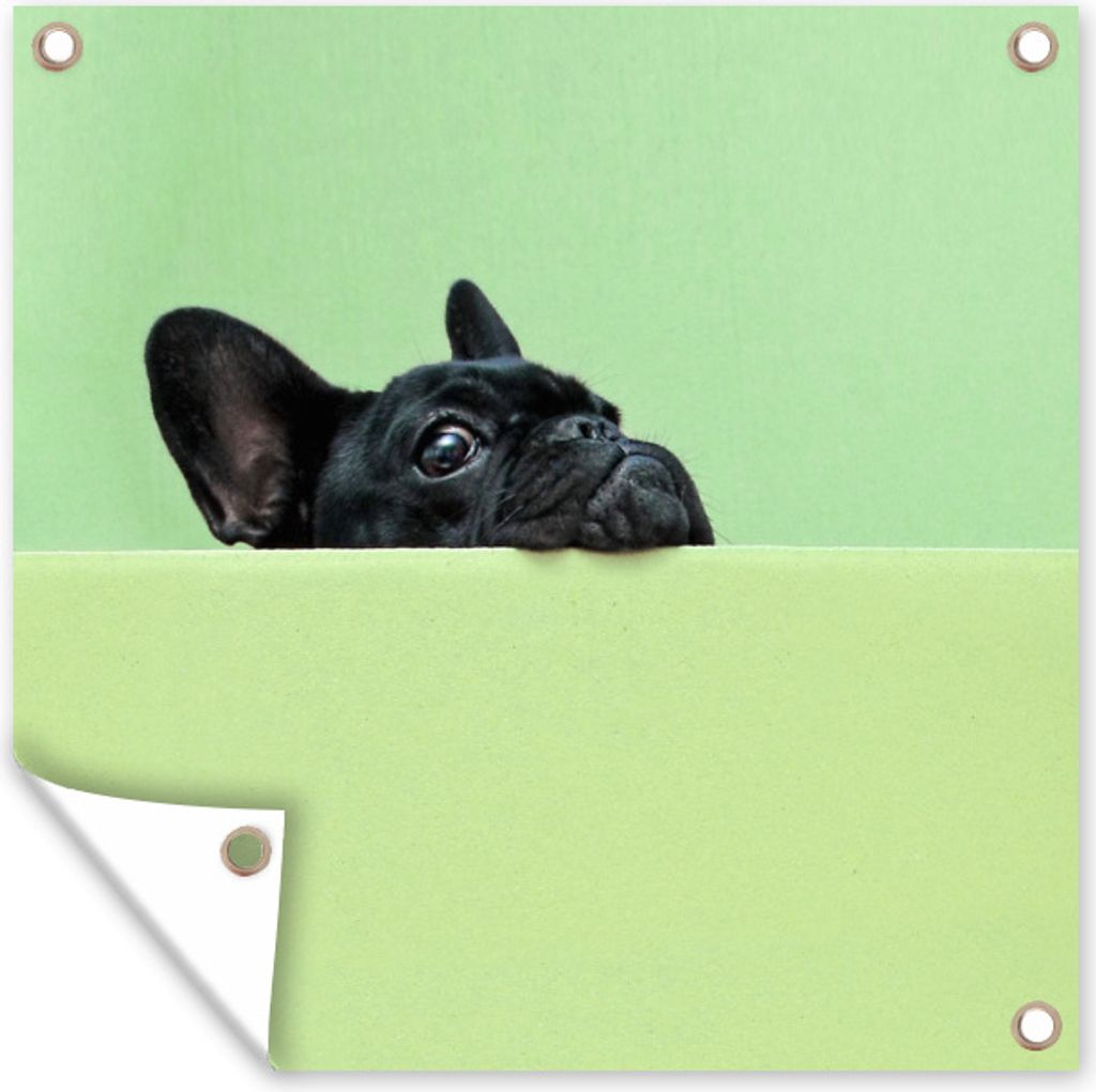 MuchoWow 100x100 cm Outdoor-Poster Gartendeko Sichtschutz Garten Poster für den Garten Französische Bulldogge - Grün - Schwarz
