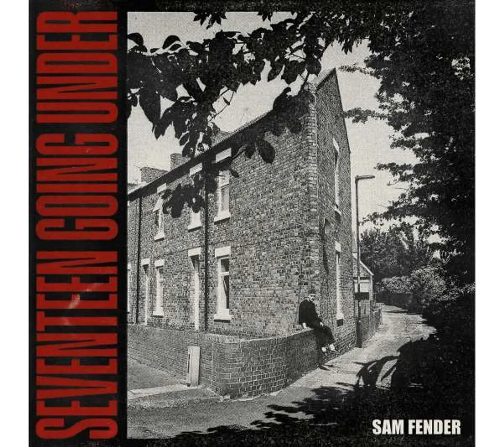 Vinyle Sam Fender Seventeen Going Under - Pressage haute fidélité album rock