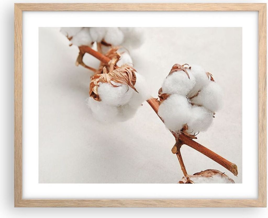 Gerahmtes Poster - Rahmen in heller Eiche - Baumwolle Makro Zweig - 50x40 cm - Wand Bild - Wanddeko - Wandbilder - Kunstposter - Wandposter - Bilde...