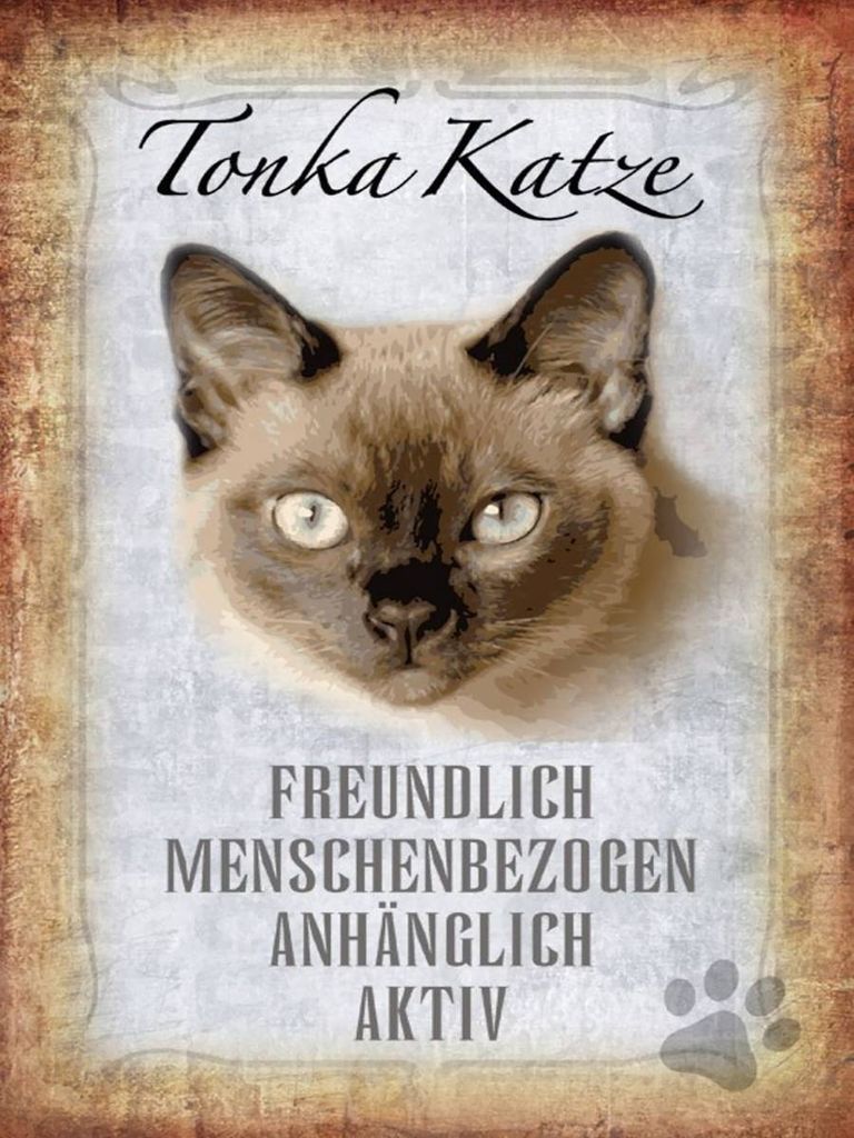 vianmo Holzschild 40x30 cm Tonka Katze