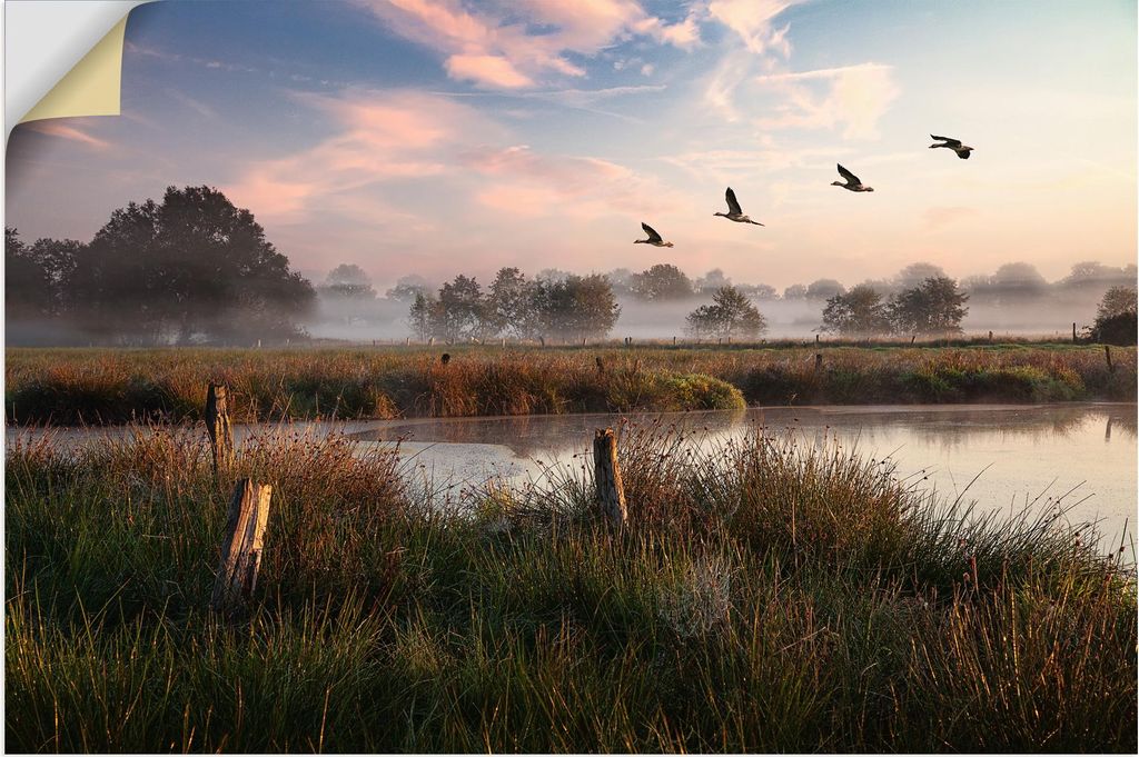 ARTland Wandbild, selbstklebend Natur erleben Größe: 60x40 cm