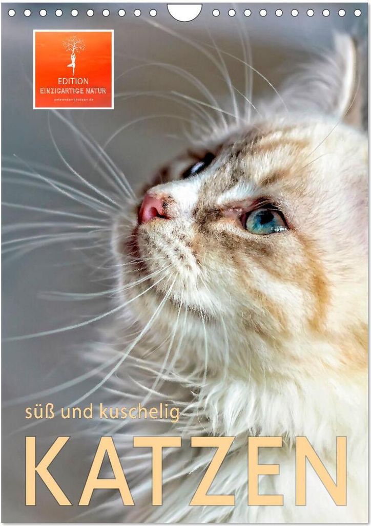 Katzen - süß und kuschelig (Wandkalender 2026 DIN A4 hoch), CALVENDO Monatskalender