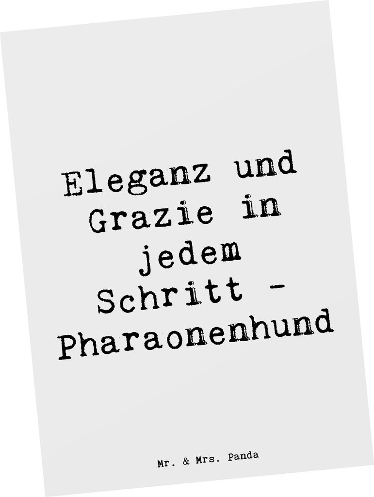 Mr. & Mrs. Panda Postkarte Spruch Eleganter Pharaonenhund - Produktbild 