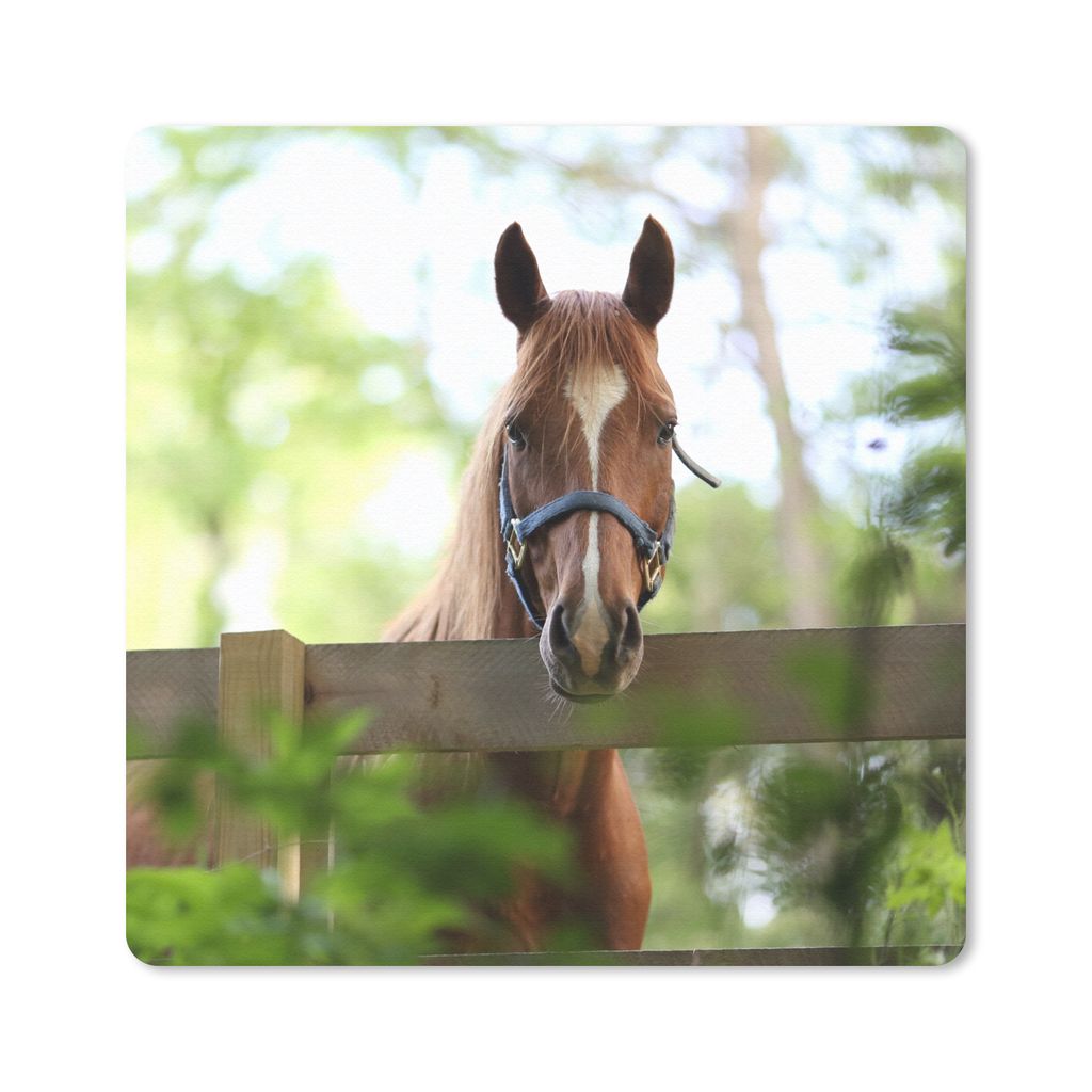 MuchoWow Mauspad Mousepad Pferd - Natur - Zaun 20x20 cm - Mousepads - Maus Mat - Pad - Mausunterlage - Desk Mat - Bureauartikeln
