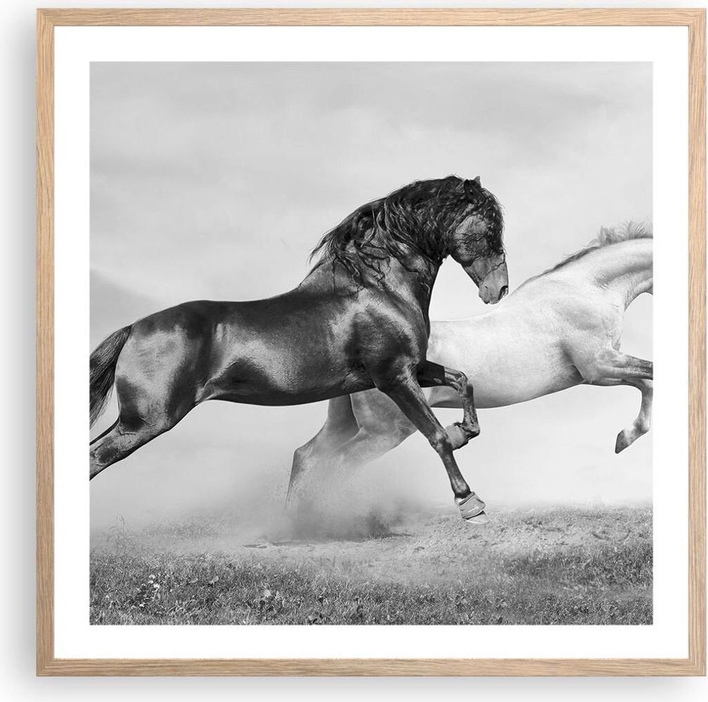 Gerahmtes Poster - Rahmen in heller Eiche - Pferde Tiere Galopp Wiese - 60x60 cm - Wand Bild - Wanddeko - Wandbilder - Wandposter - Bilderrahmen - ...