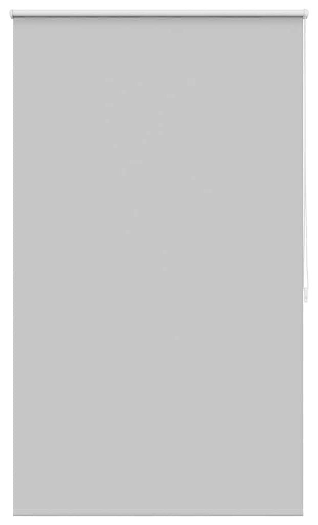 Tenda a rullo oscurante 100 x 175 cm Grigio Immagine del prodotto 