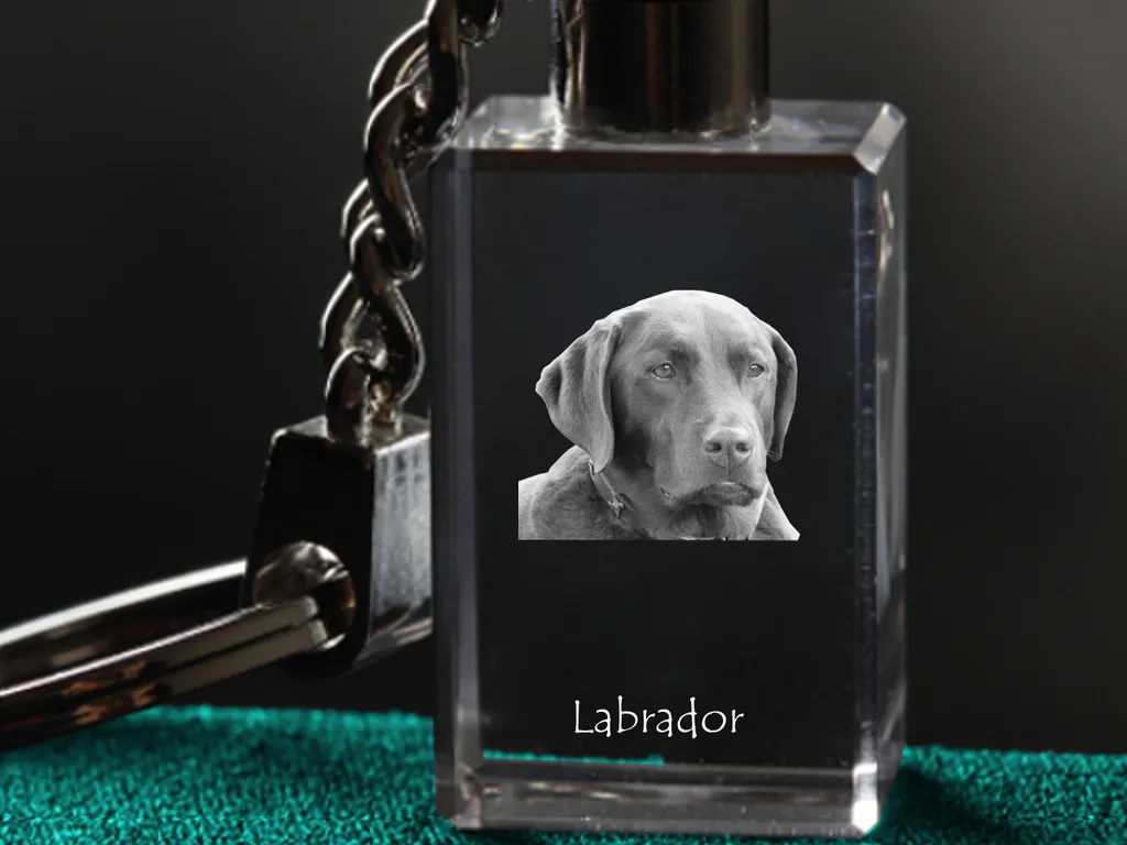 Portachiavi in fimo labrador, golden retriever, cane, miniature, id