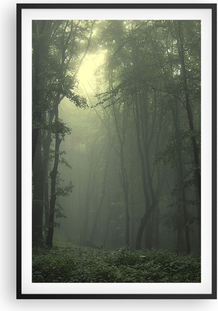 Gerahmtes Poster - Schwarzer Rahmen - Wald Nebel Baum - 61x91,5 cm - Wand Bild - Wanddeko - Wandbilder - Kunstposter - Wandposter - Bilderrahmen - ...
