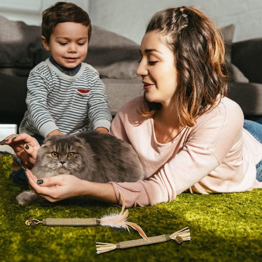 Katzenminze-Sticks für Katzen - 4 Biologische Kauwsticks zur Zahnpflege - Spielzeug gegen Zahnstein und schlechten Atem von Katzen