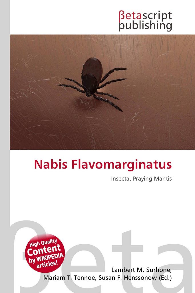 Nabis Flavomarginatus