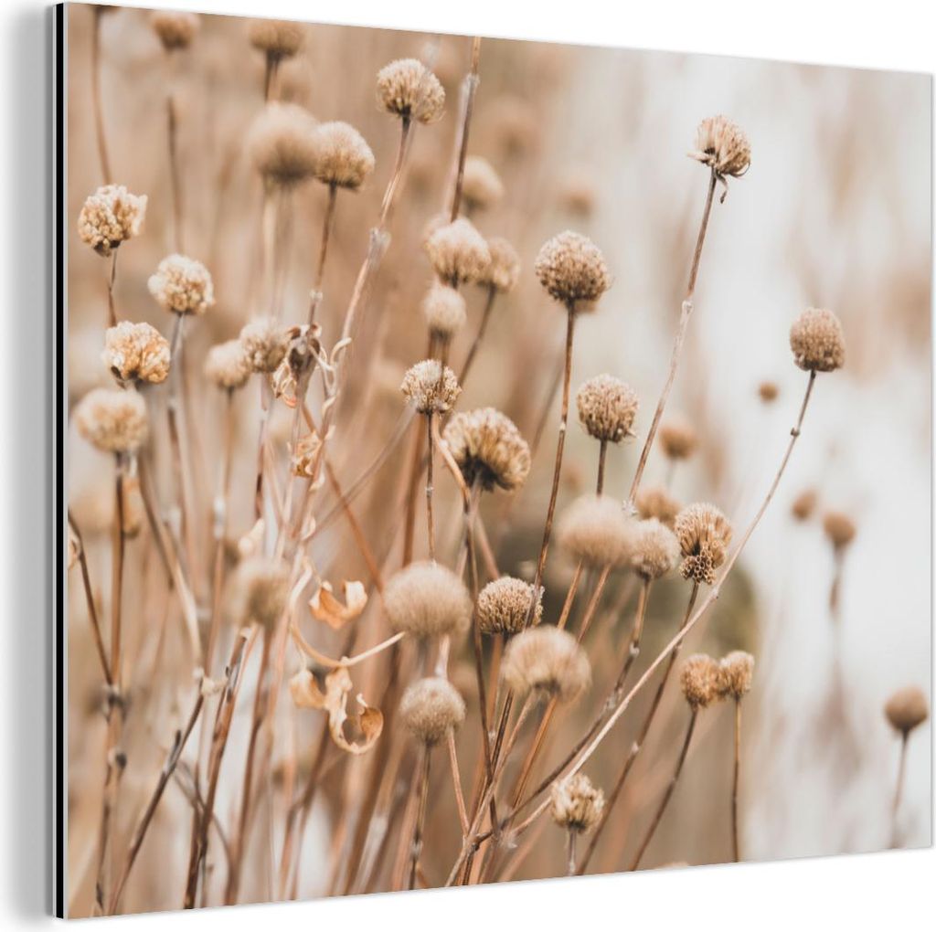 MuchoWow Wanddekoration Metall Metallbild Wandkunst 40x30 cm Getrocknete Blumen - Beige - Natur MuchoWow Aluminium Gemälde - Dekoration Wohnzimmer