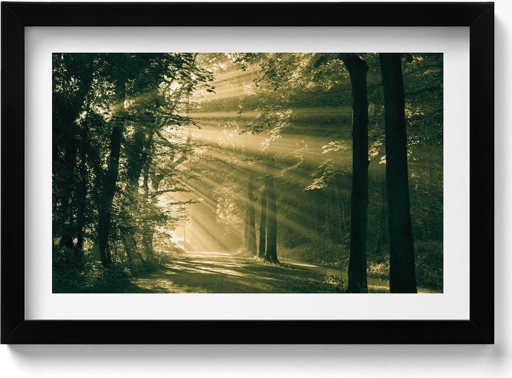 Sonnenschein im Wald– Wandbild mit Rahmen – Gerahmtes Bild – Wanddekoration – 30x20 cm – Schwarz Rahmen