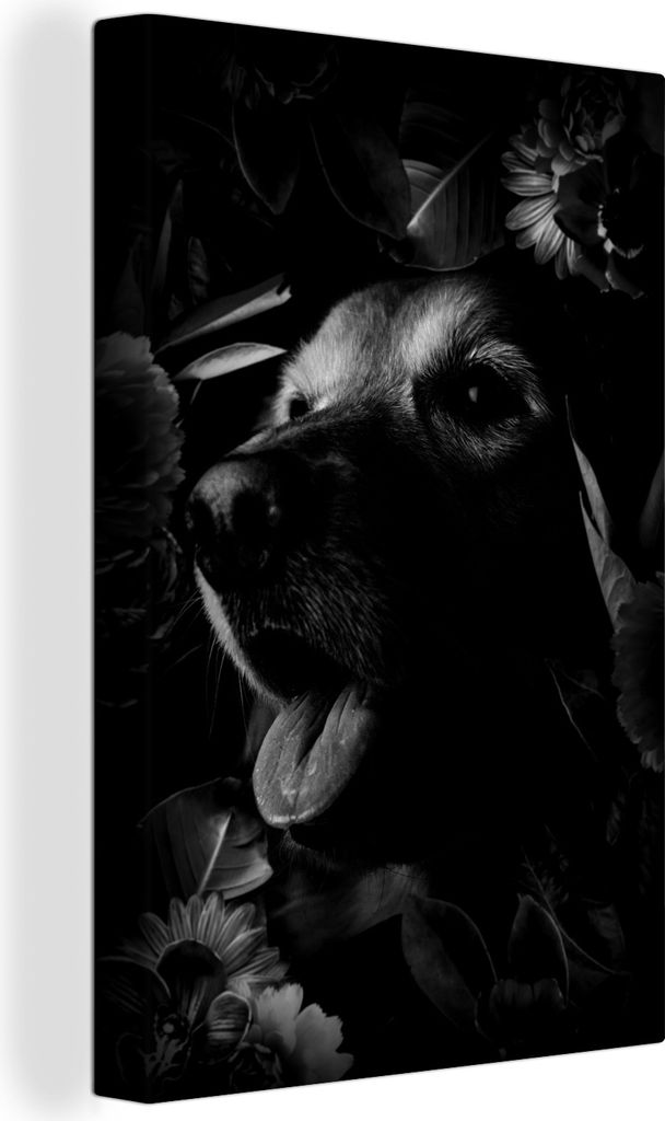 OneMillionCanvasses - Leinwandbilder - 90x140 cm, Botanischer Hund vor dunklem Hintergrund - schwarz und weiß, Wandbilder Kunstdruck Wanddekorat...