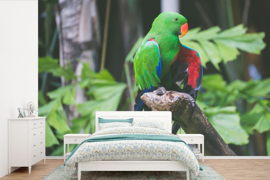 MuchoWow Fototapete für Wohnzimmer oder Schlafzimmer Wandtapete Vinyl Motivtapete Vogel - Papagei - Grün - 600x400 cm - Vinyltapeten