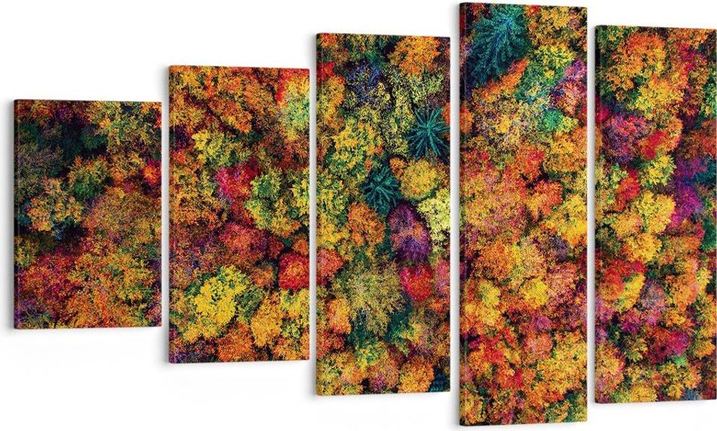 Bild auf Leinwand - Leinwandbild - 5 Teile - Herbst Perspektive Vogel - 100x60cm - Wand Bild - Wanddeko - Wandbilder - Leinwanddruck - Bilder - Wan...