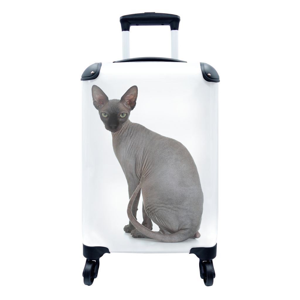 MuchoWow Koffer Handgepäck Trolley Rollkoffer Kleine Reisekoffer mit 4 Rollen - Graue Sphynx-Katze auf weißem Hintergrund - Cabin Size < 55x40x...
