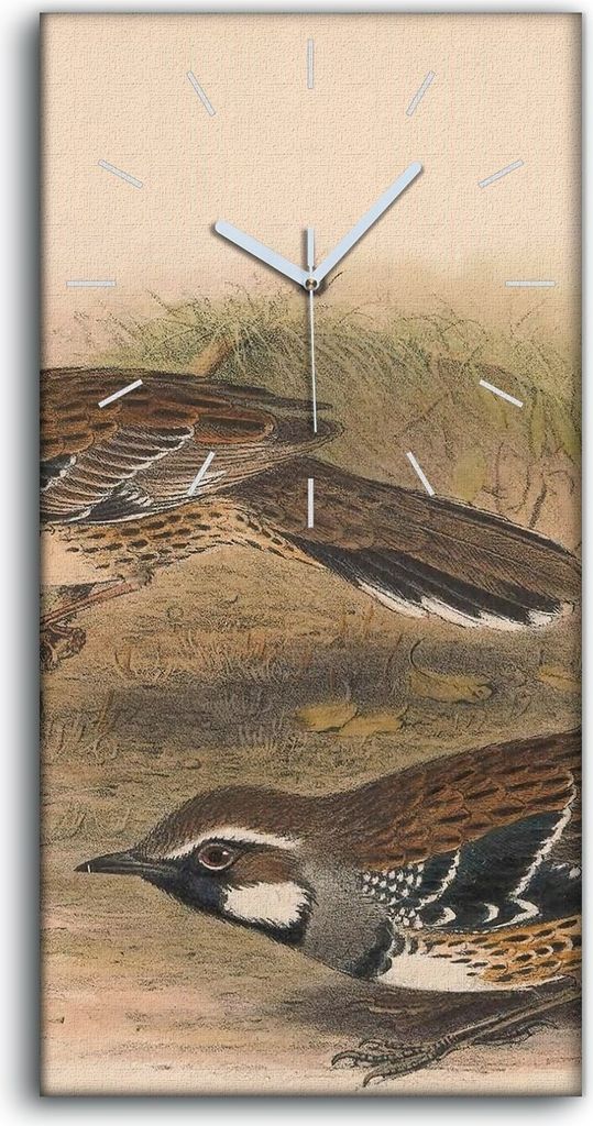 Wanduhr Bürouhr Leinwand Bild Geräuschlos 30x60 Vögel Wild Tiere Zeichnung Kunst - weiße Hände
