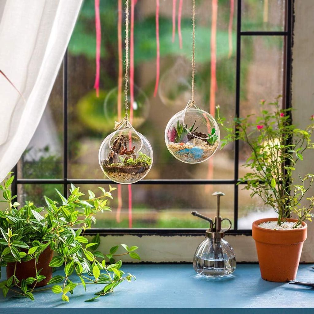 4 Stück Hängende Glaskugeln Terrarium Sukkulenten Orbs - Große Öffnung Luftfarn Pflanzen Vase Hänger - 10 cm