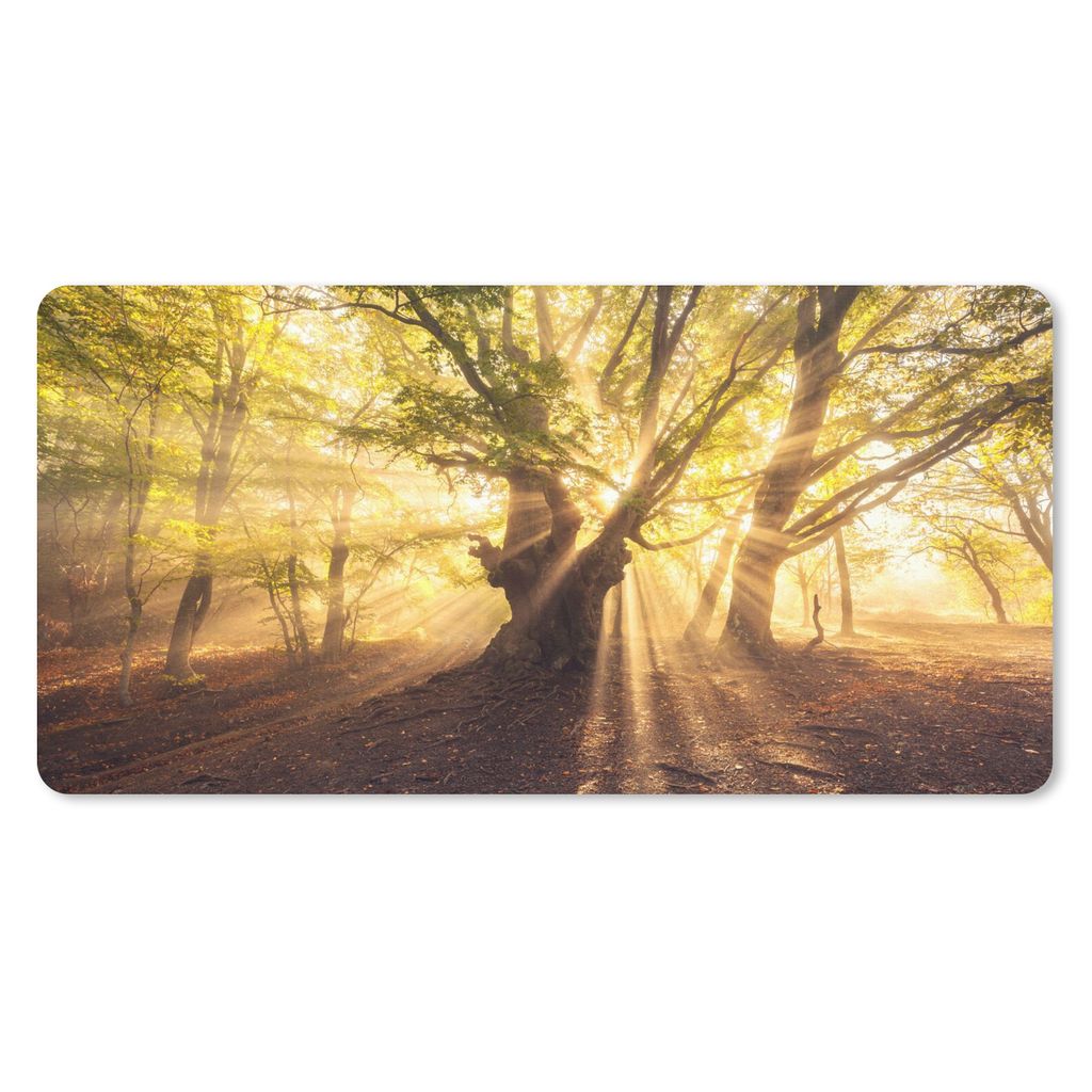 MuchoWow Mauspad Mousepad Baum - Wald - Sonne 60x30 cm - Mousepads - Maus Mat - Pad - Mausunterlage - Nachhaltig