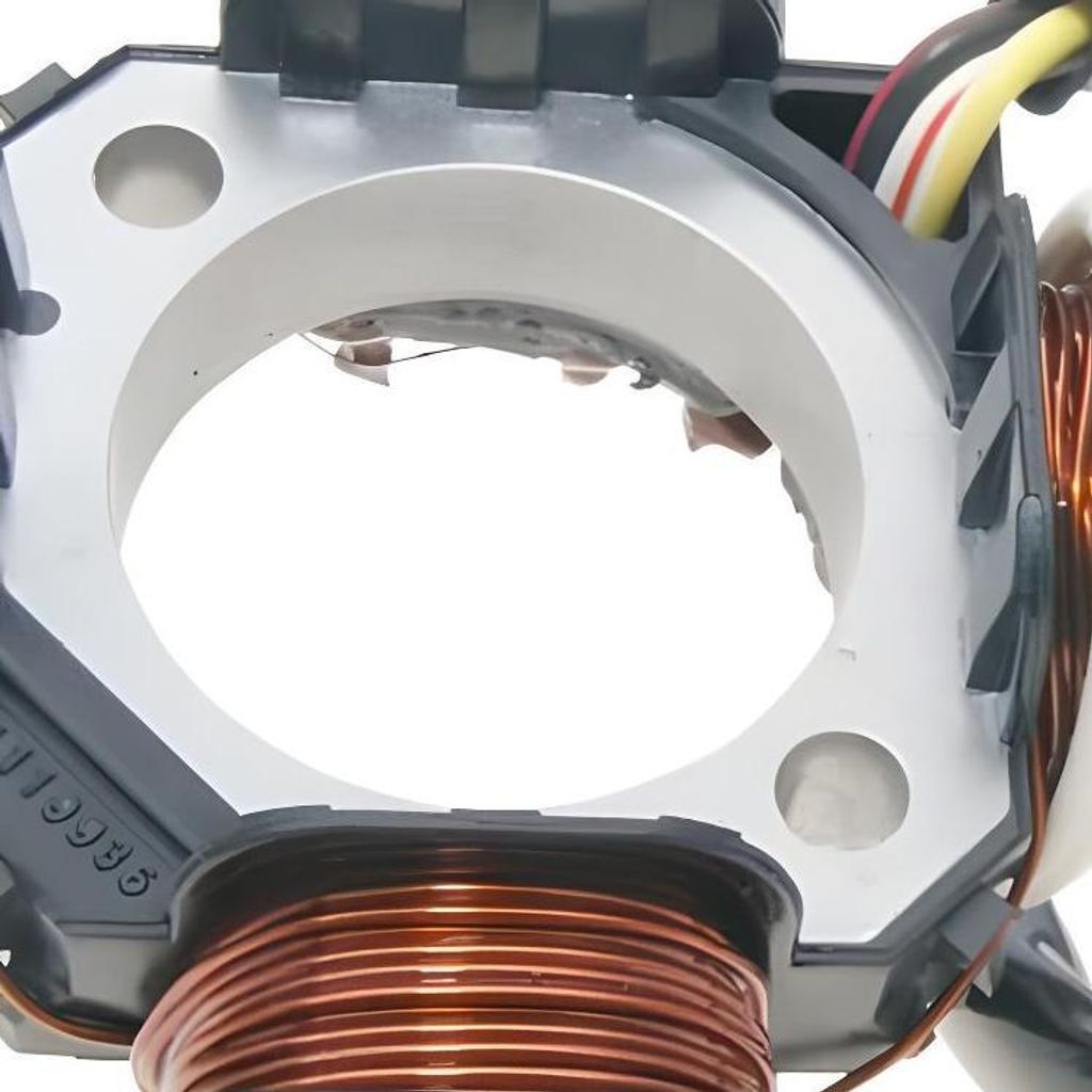 101_Octane Lichtmaschine Stator kompatibel mit Pegasus Sky, Corona Sport, R50X, TGB 101, 203 Bullet, Laser, Tapo