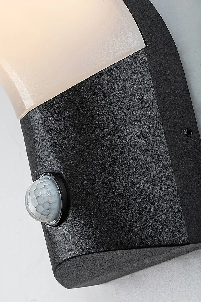 Rabalux 77172 Tolna Applique Murale Extérieure LED 10W Aluminium Noir
