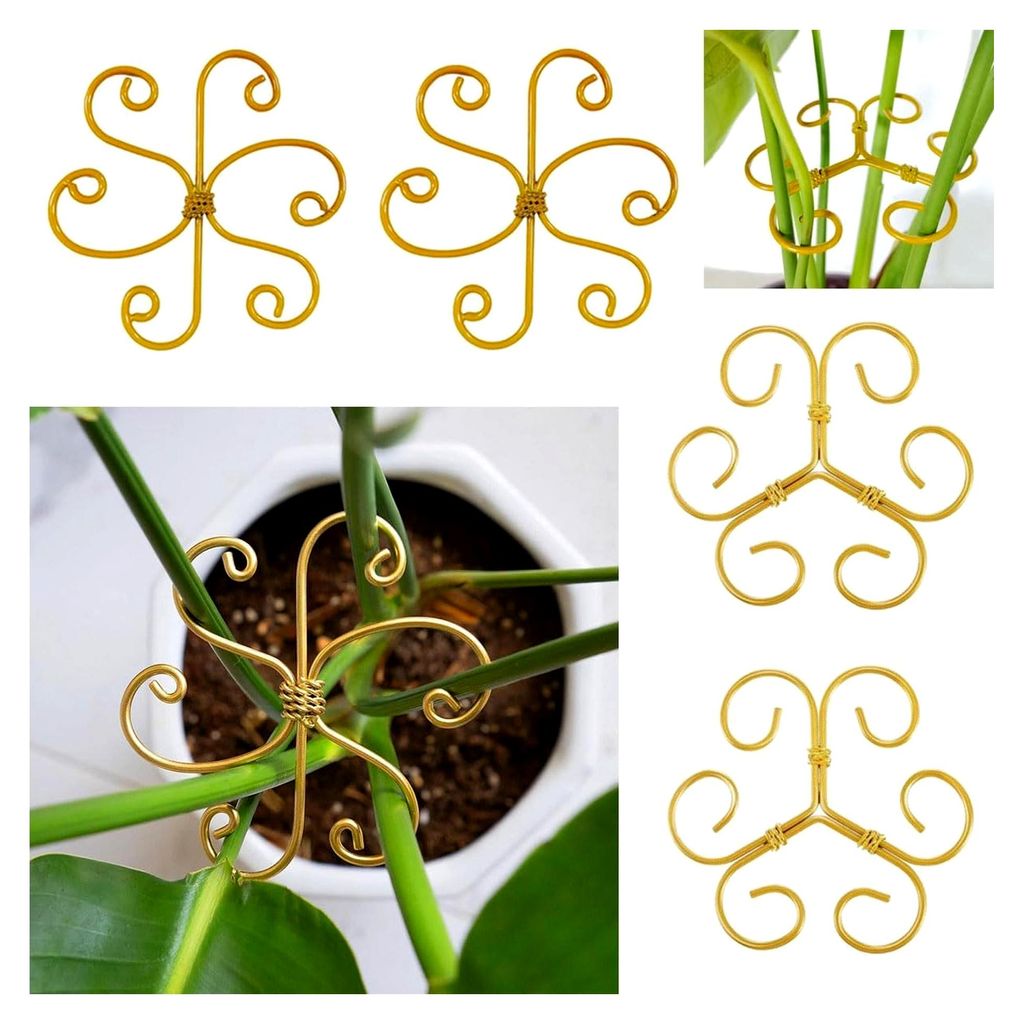4 Stück Pflanzenstützen für Zimmerpflanzen, Staudenhalter und Rankhilfen für Monstera, Alocasia, Tomaten und Hortensien