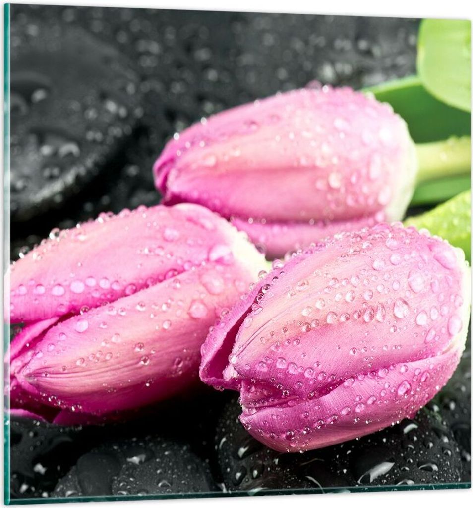 Bilder auf glas - Tulpen Tau Steine Pflanze - 60x60cm - Glasbilder - Wandbilder - Kunstdruck - zum Aufhängen bereit - Wanddekoration aus Glas - Gl...