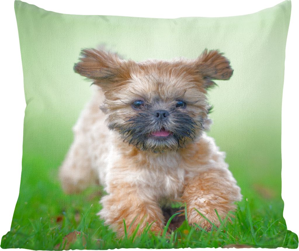 MuchoWow Zierkissen Sofakissen Wohnzimmer Dekokissen 45x45 cm Ein niedlicher Shih Tzu Hund, der durch das Gras läuft - Schlafpolster - Polster f...