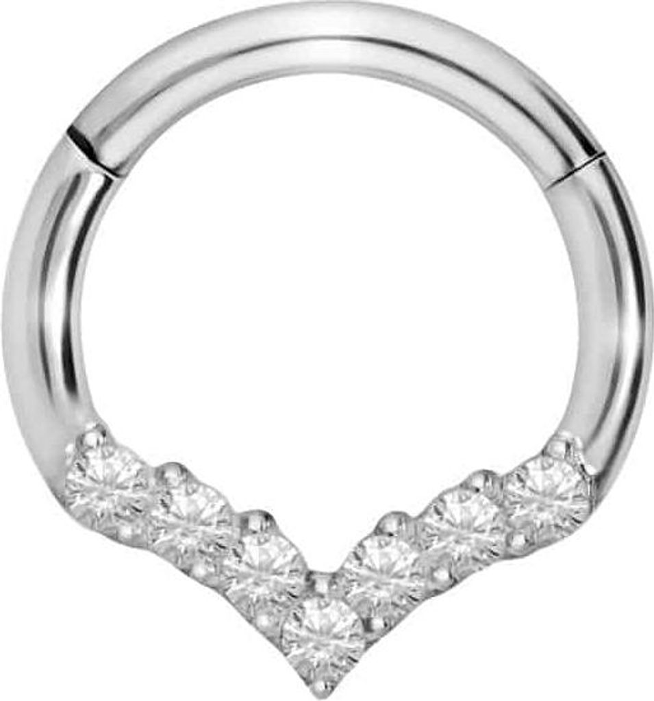 Ohrpiercing, Nasenpiercing, Septum Piercing Titan Segmentring Clicker SPITZ + EINGEFASSTE KRISTALLE