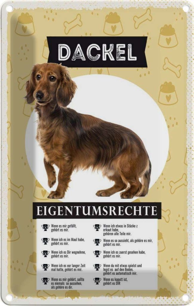vianmo Blechschild 18x12 cm Dackel Eigentumsrechte Hund