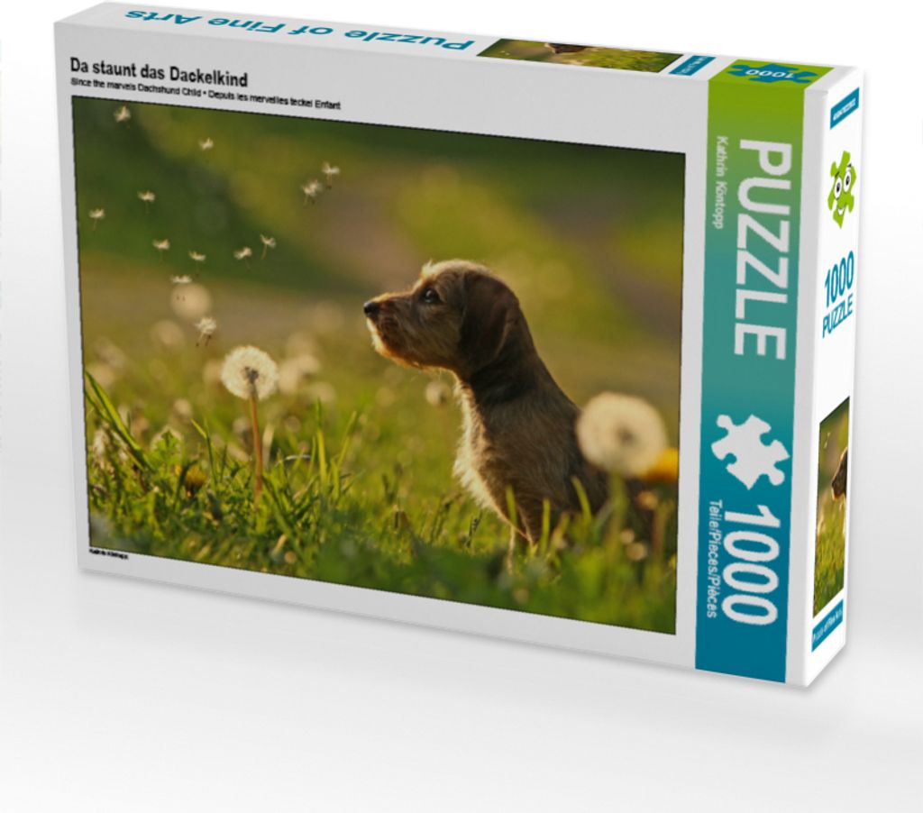 Calvendo Da staunt das Dackelkind 1000 Teile Puzzle quer 640x480mm, Köntopp Kathrin; 7402243