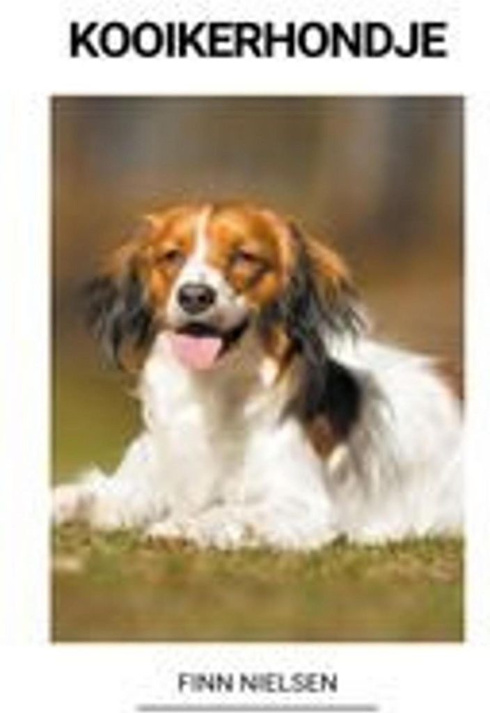 Kooikerhondje