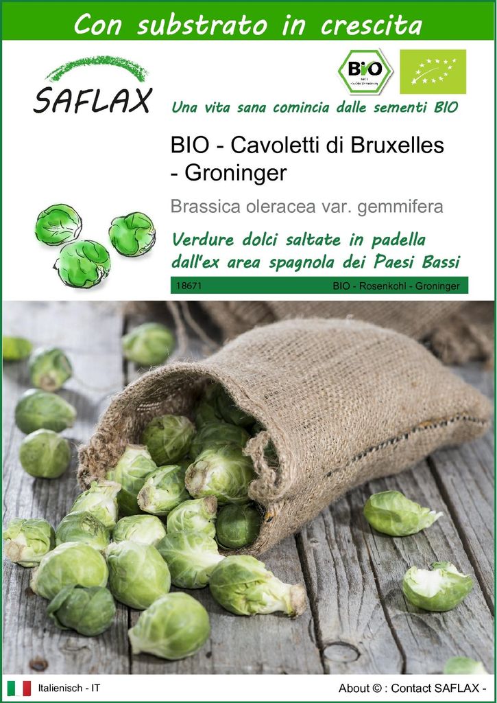 SAFLAX  - BIO - Cavoletti di Bruxelles - Groninger - 30 Immagine del prodotto 