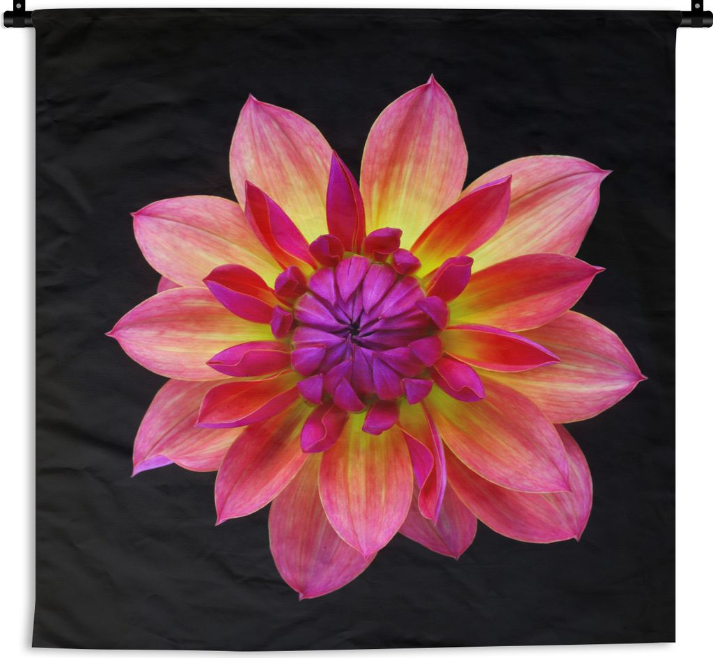 MuchoWow Wandteppich Wandbehang Eine Nahaufnahme der mehrfarbigen Dahlienblüte auf schwarzem Hintergrund 90x90 cm Tapisserie Dekoration Wandtuch...