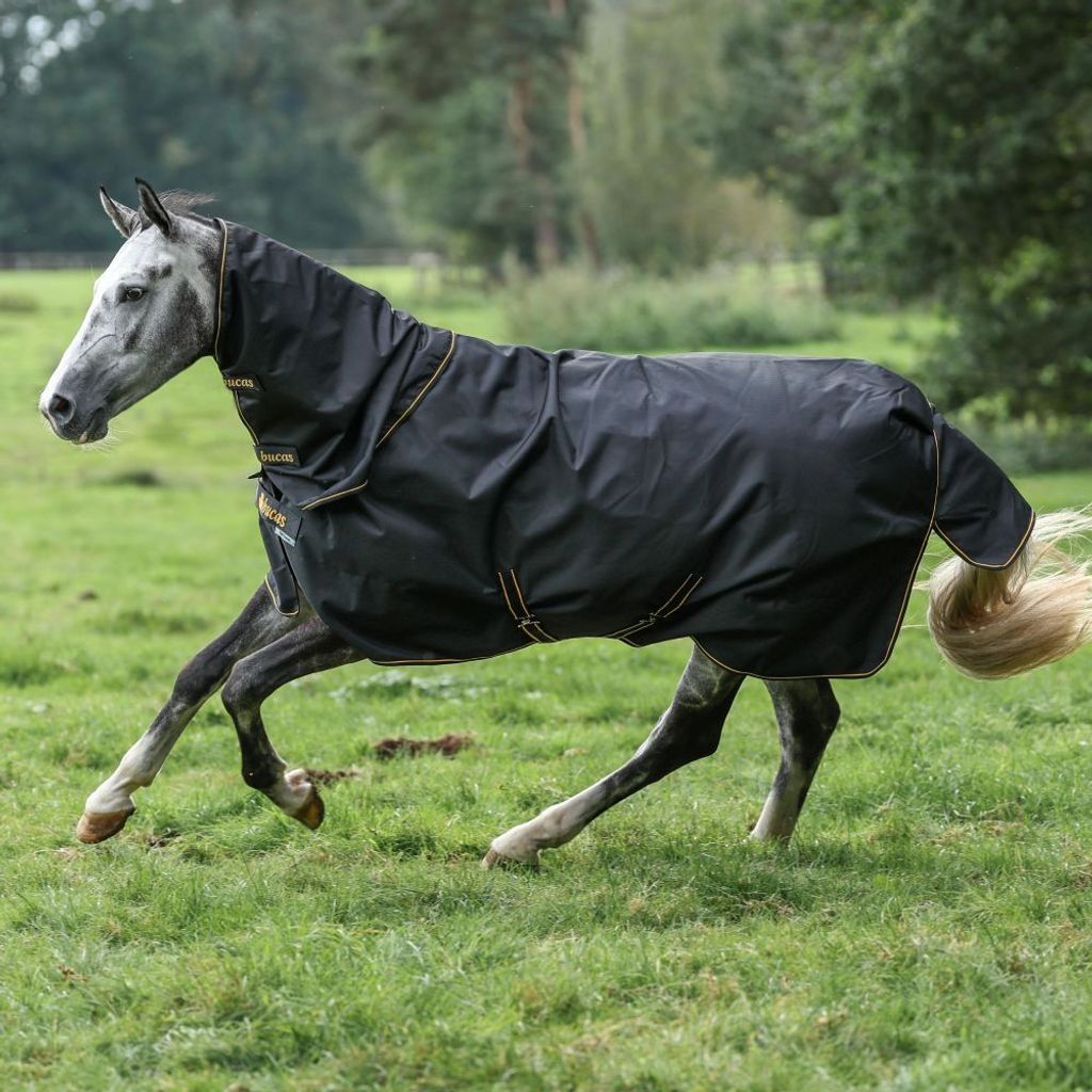 Bucas Weidedecke Irish Turnout Light 50g Classic 1200D